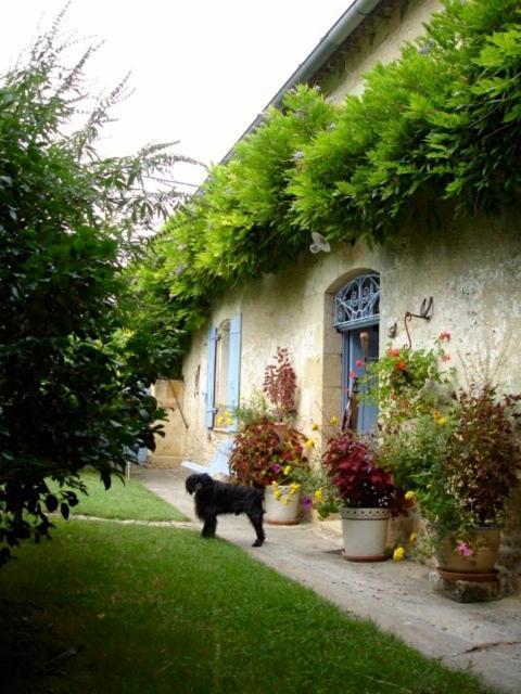 La Petite Provence De Touron Bed and Breakfast Pujols  Eksteriør billede
